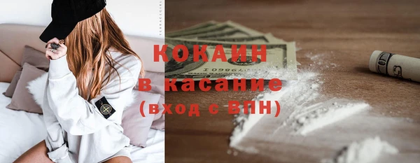 индика Алзамай