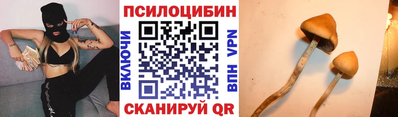 Псилоцибиновые грибы Cubensis  MEGA рабочий сайт  Задонск 